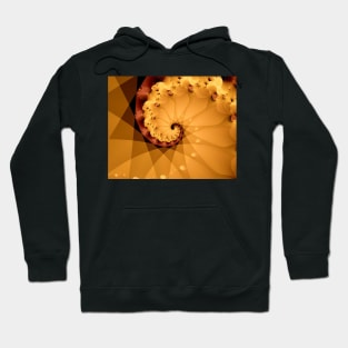 Spiral in Brown Hoodie